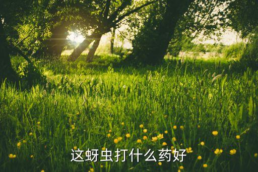 這蚜蟲打什么藥好