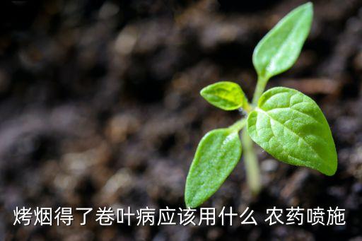 烤煙得了卷葉病應(yīng)該用什么 農(nóng)藥噴施