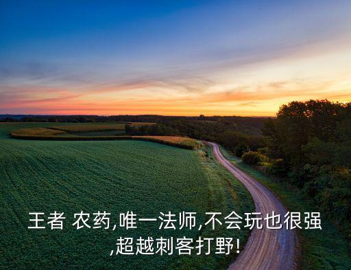 農藥打野帶什么東西,蔬菜打農藥什么時間好