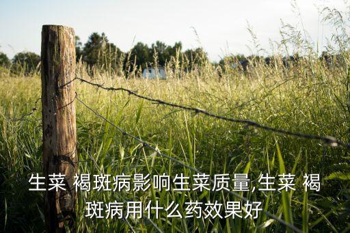 生菜 褐斑病影響生菜質量,生菜 褐斑病用什么藥效果好