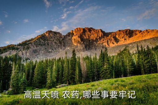  高溫天噴 農藥,哪些事要牢記