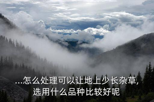 ...怎么處理可以讓地上少長雜草,選用什么品種比較好呢