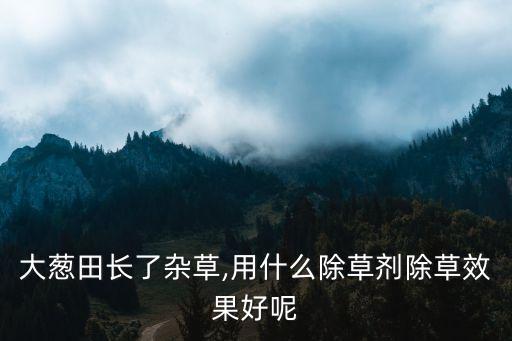 大蔥田長了雜草,用什么除草劑除草效果好呢