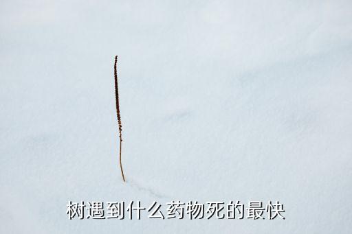 用什么農(nóng)藥能把大樹弄死,二甲四六農(nóng)藥能把大樹弄死吧