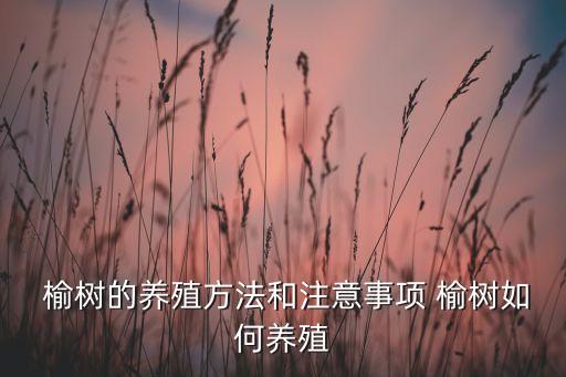 榆樹腐爛病用什么農藥,什么農藥可以治腐爛病