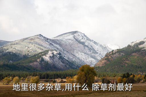 什么農藥除草又除根又除草