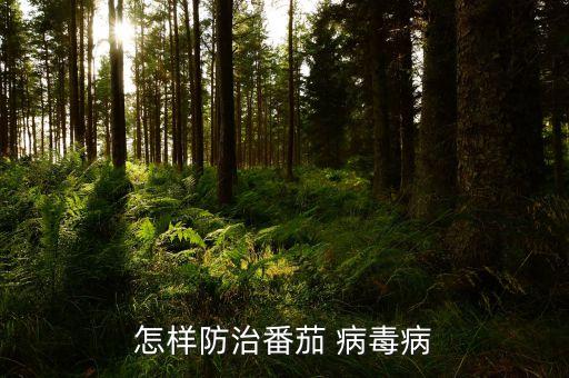 西紅柿病毒用什么農藥
