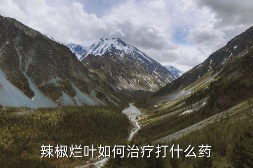 辣椒爛葉如何治療打什么藥