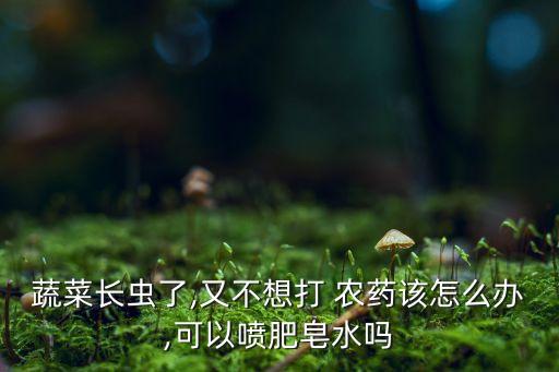 菜不用農(nóng)藥的用什么殺蟲,不用農(nóng)藥20種殺蟲方法