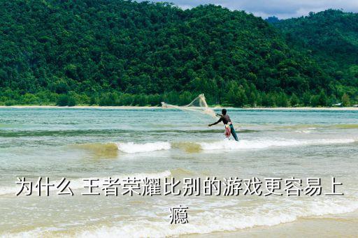 你為什么喜歡玩王者農藥