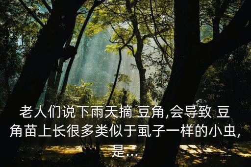 老人們說下雨天摘 豆角,會導致 豆角苗上長很多類似于虱子一樣的小蟲,是...