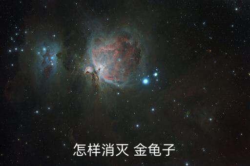 用什么農(nóng)藥治金龜子,防治金龜子成蟲的特效農(nóng)藥
