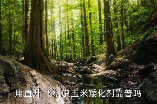 用直升 飛機噴玉米矮化劑靠普嗎