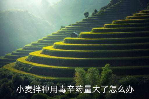 用什么農藥拌小麥最好,小麥病毒病哪種農藥最好