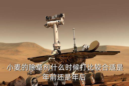 小麥都什么時候打農藥,北方小麥和玉米什么時候用農藥
