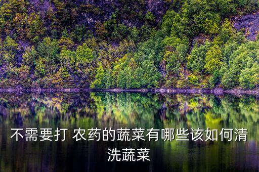 不需要打 農(nóng)藥的蔬菜有哪些該如何清洗蔬菜