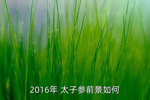 2016年 太子參前景如何
