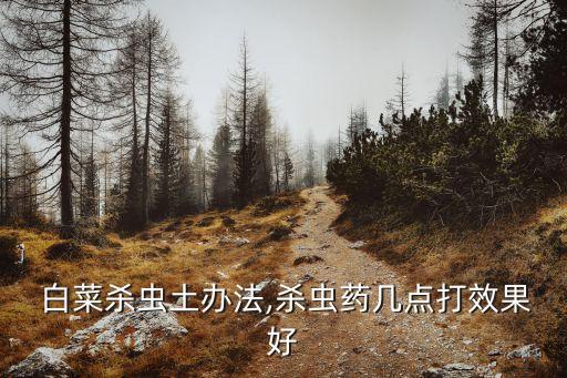 白菜用什么農藥預防蟲害,白菜如何預防蟲害