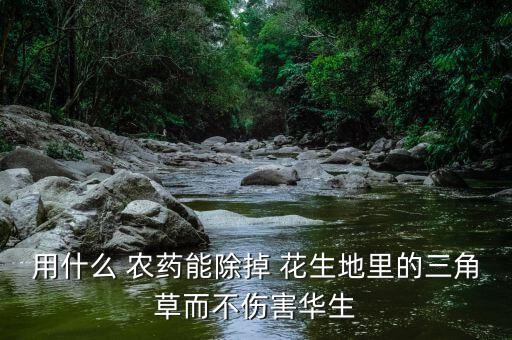 用什么 農(nóng)藥能除掉 花生地里的三角草而不傷害華生
