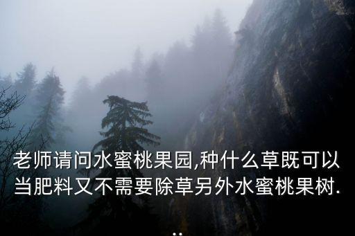 老師請(qǐng)問水蜜桃果園,種什么草既可以當(dāng)肥料又不需要除草另外水蜜桃果樹...