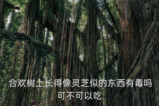  合歡樹上長得像靈芝似的東西有毒嗎可不可以吃