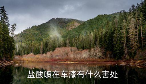 鹽酸噴在車漆有什么害處
