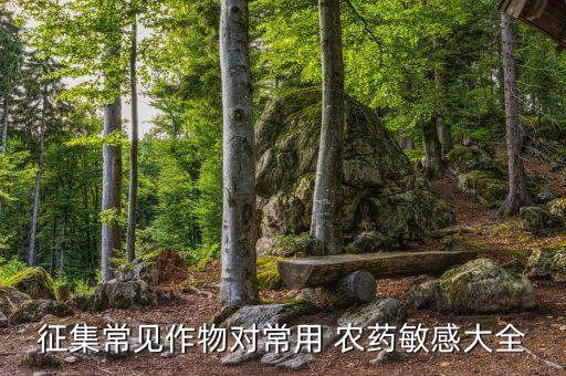 種植甜菜最怕什么農藥,甜菜根種植打農藥嗎