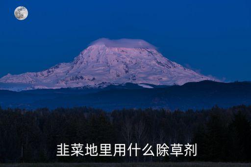 韭菜噴什么農(nóng)藥葉厚,韭菜什么季節(jié)農(nóng)藥最多