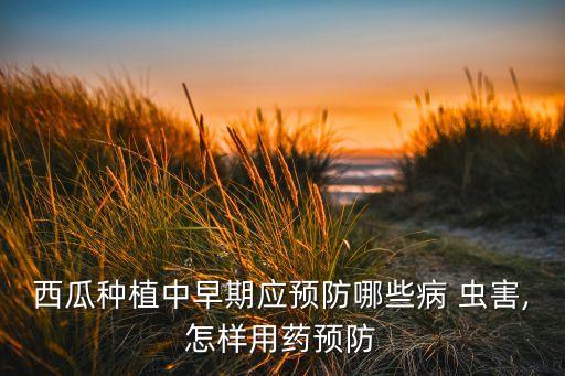 瓜類蟲害用什么農藥好呢,瓜類不能用什么農藥