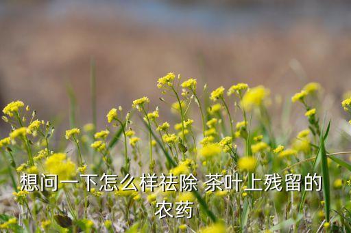 茶葉籽能用什么農藥消除,打茶葉蟲什么農藥最好