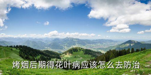 烤煙打什么農藥無病毒好,烤煙專用農藥什么最好