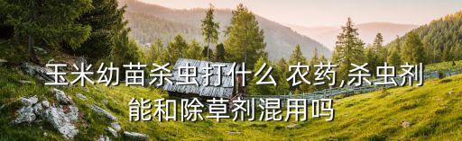 玉米打什么農藥死草價格,玉米種下后需要噴什么農藥
