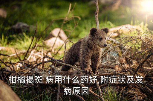 枯斑病用什么農藥治好呢,穗枯病用什么農藥防治呢