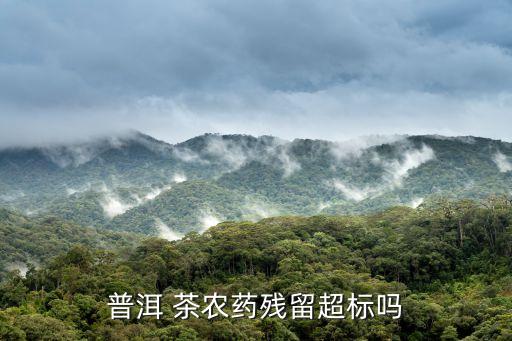 普洱 茶農藥殘留超標嗎