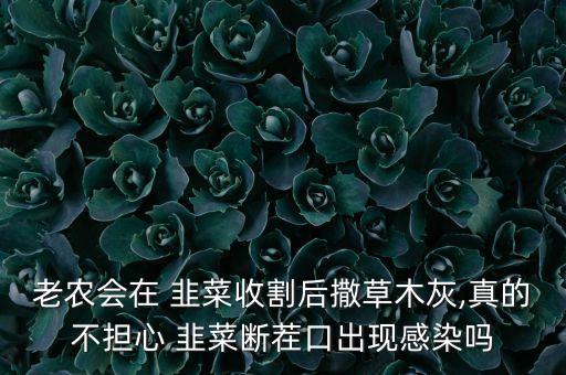 韭菜螨蟲最怕什么農(nóng)藥,韭菜根螨蟲用什么農(nóng)藥