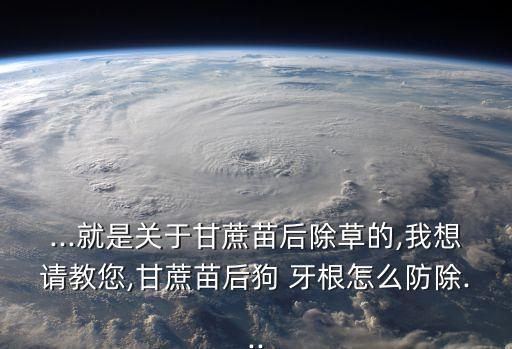 ...就是關于甘蔗苗后除草的,我想請教您,甘蔗苗后狗 牙根怎么防除...