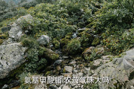 什么農藥有異味,除異味用什么效果最好