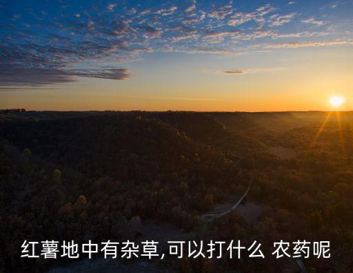 牛津草用什么農藥,什么農藥能打死所有的草