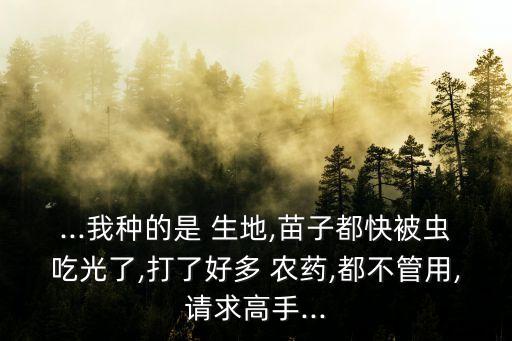 ...我種的是 生地,苗子都快被蟲吃光了,打了好多 農(nóng)藥,都不管用,請求高手...