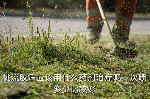 潰腐靈是什么農(nóng)藥,甲胺靈是什么農(nóng)藥?