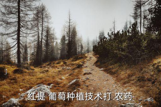 什么地方葡萄用農藥了,葡萄適合種在院子什么地方