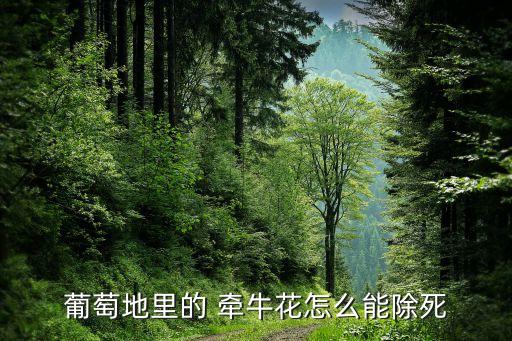 牽牛用什么農(nóng)藥除蟲藥好,除蟲什么農(nóng)藥最好