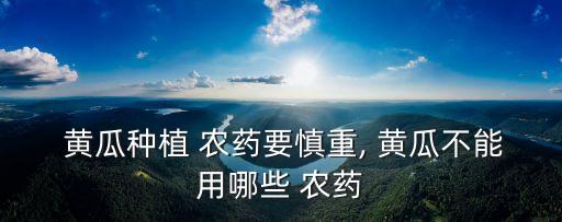  黃瓜種植 農(nóng)藥要慎重, 黃瓜不能用哪些 農(nóng)藥