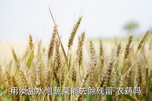 洗菜能洗去什么農(nóng)藥,洗沙游戲中主要洗去了什么