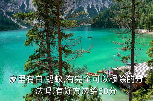 白螞蟻怎么消滅用什么農藥,百螞蟻怎么消滅