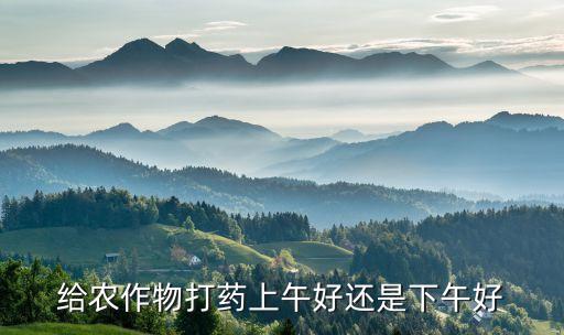 給農作物打藥上午好還是下午好
