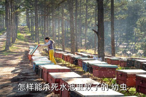 什么農(nóng)藥可以去除幼蟲,刺蛾幼蟲用什么農(nóng)藥