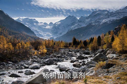 什么農(nóng)藥治楊樹(shù),能把楊樹(shù)弄死的農(nóng)藥