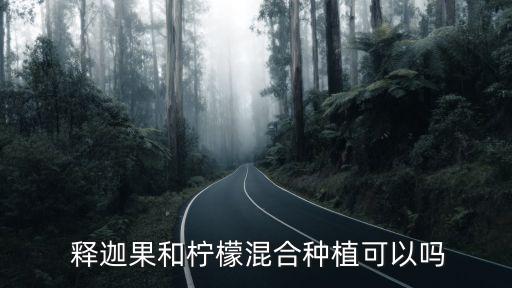 釋迦果要噴什么農藥,釋迦打什么農藥