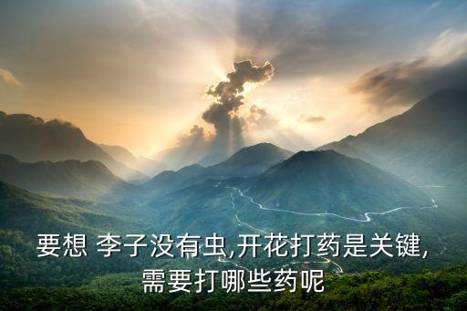 要想 李子沒有蟲,開花打藥是關鍵,需要打哪些藥呢